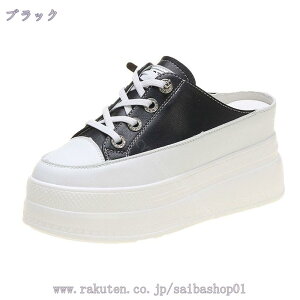 Xb| fB[X  ƂȂ Xj[J[ EN   V[Y EH[LOV[Y ƂȂ t TCY C g킸ɗC ʋ ʊw [Jbg 