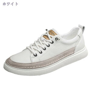 [Jbg Xj[J[ Y XP[g{[hV[Y ʊw ʋ w X|[cV[Y y L fbLV[Y ~ RtH[g WjA t  H ~ ʋC AEghA JWA