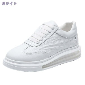 1000~OFFN[| hCrOV[Y Y Xj[J[ [t@[ JWA WMO JV fbLV[Y ʋC ϋv ϖՐ Ռz ₷ ɂ XP[g{[