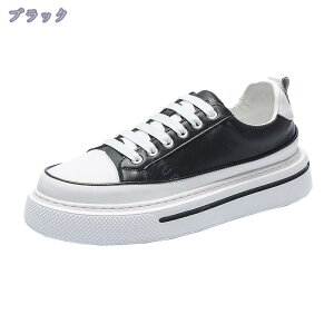 1000~OFFN[| [XAbv X|[cV[Y Y JWAV[Y vC {v Xj[J[rWlX ʋ ~ fbLV[Y 傫TCY EI[LOV[Y WjA X