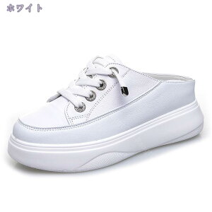 500~OFFN[| ƂȂ fB[X Xj[J[ Xb| ₷  X|[cV[Y ʋC t [XAbv EH[LOV[Y 傫TCY ɂ  Xj[