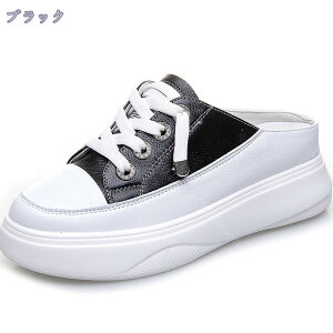 1000~OFFN[| ƂȂ fB[X Xj[J[ Xb| ₷ Xj[J[  y h EH[LOV[Y ɂ  [Jbg [XAbv X|[cV[Y