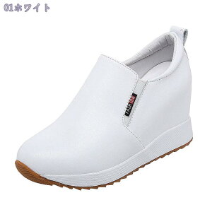 [t@[ fB[X EhgD  JWAV[Y  Xb| y ₷ Xj[J[ ʋC [Jbg ʋ ʊw Xb|  H ^C  n V