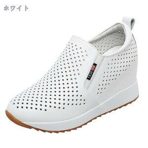 [t@[ fB[X EhgD  JWAV[Y Xb| Xb| Xj[J[  ʊw ʋC ₷ n ^C [Jbg  V[NbgV[