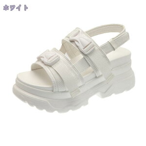 T_ fB[X  X|T X|[cT_ EFbW\[ }WbNe[v fB[XV[Y y V[Y X|[c AEghA  ₷ ~ X|T }W