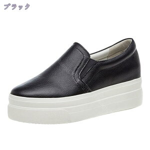 Cq[Xb| Xb| fB[X q[Xb|  Cq[Xj[J[  Vv y TChSA  ₷ EFbW\[ Xb| ϖ X