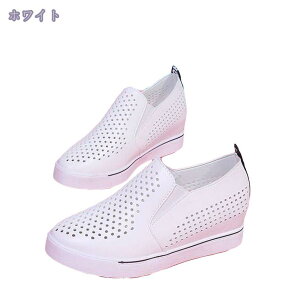 1000~OFFN[| Cq[ Xb| fB[X Xj[J[  y    ₷ ʋC 傫TCY bV r K JWA Xj[J[ [Jbg Cq[Xj[