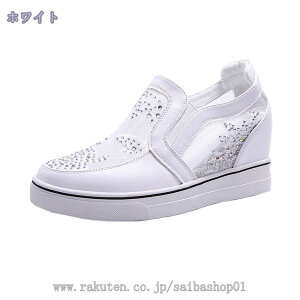 1000~OFFN[| Xj[J[ fB[X q[3cm Cq[4cm  t JWA  r  zCg Vo[ i 傫TCY IV V[NbgV[Y  _