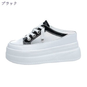 1000~OFFN[| Xj[J[ Xj[J[ T_ Xb| Xj[J[  tbgXj[J[ q[8cm Cq[ Xj[J[ [XAbv ؂ V[Y C tbgV[