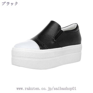 1000~OFFN[| Xb| fB[X  Xj[J[ RȂ V[Y C Cq[1cm Xj[J[ q[6cm g킸ɗC  t H JWA r   ubN zCg 