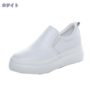 Xb| fB[X U[ ₷ JWA Vv X^CAbv ubN zCg 6.5cmUP ₷ Xj[J[ ₷ ~  ʊw s ɂ 