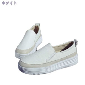 1600~OFFN[| Xj[J[ V[Y Xb| [Jbg fB[XC ʊw JWA 3Z`q[ fB[X ؂ I[V[Y  킢 Vv EH[LO