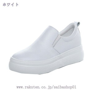 1000~OFFN[| fB[X Cq[Xj[J[ Cq[ Xb| C  RȂ Cq[Xb|  [Jbg   fB[XC Xj[J[ ₷ g