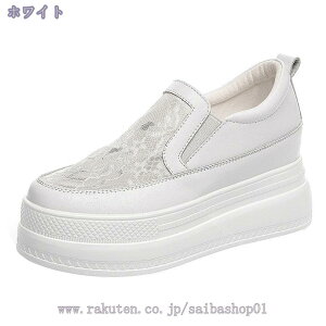 777~OFFN[| Xb| fB[X Xj[J[  ₷ bV ʋC y  [t@[ ₷ ʊw [JbgJWAV[Y r ؂ 傫TCY