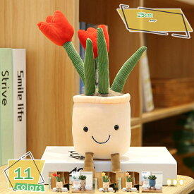 300円OFFクーポン 植物ぬいぐるみ 多肉 笑顔 部屋飾り 観葉植物 かわいい置物 柔らかい 萌え萌え キュート 女の子ギフト 誕生日プレゼント 贈り物 女性 友達 入園祝い 撮影道具 ホワイトデー インテリア ストレス解消 癒し RaogtCYU