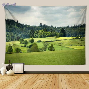 3D 効果 リアル タペストリー 布ポスター 緑の風景 風景の背景 森 緑の木 滝 山中 壁掛け飾り 贈り物 インテリア 部屋飾り カーテン 間仕切り 鮮明なライン 夏の自然風景 ベッドルーム 自宅用
