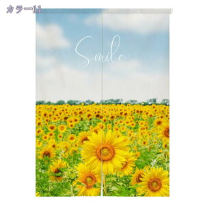 1000~OFFN[| ̂ 90cm  g a  Ԏd؂ u₩ 80*120cm hAJ[e Ǐ  90*150cm g[ Ȗ ag Eߏ ʎ  L rO l炵 