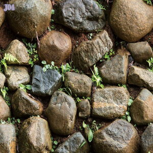 300~OFFN[| ǎV[ ؖ K ǎ h ǎ V[g CNV[g XeBbNؖڕǎ NX ǎ ͂  k 10m gE~bhZ`[ ǎ RN