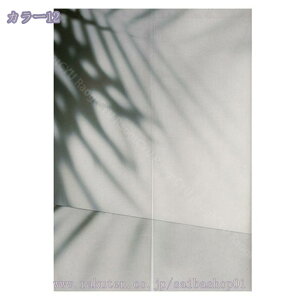 300~OFFN[| Ԏd؂ ̂ V[g p[e[V ډB ̂ t Ԏd؂J[e [t ʏ Eߏ L  OJ[e g fM vCoV[ uCh J[e