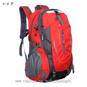 500~OFFN[| AEghA obO e oRpobO oRbN Lv bTbNH obNpbNe  LJdl ~^[ bNTbN @\ y L