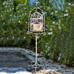 v^[X^h ԑ ACAo[hP[Wv^[ v^[P[W X^h  fBXvC AeB[N AAIfBXvCX^h Vr[ ACA K[f