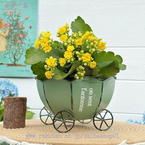 777~OFFN[| AؔX^h ACA  ԑ t[X^h Op t[bN X^h AؔbN AeB[N ^ Aؔ ϗtA  bN CeA I 