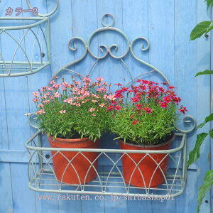 1000~OFFN[| Aؔ AnK[ A݂̒艺p ACAt[X^h|bg fbL[v^[̕Ǌ|t[uPbg 2Zbg K[fjO SǊ|t