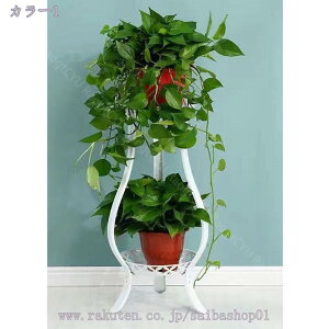 1000~OFFN[| t[X^h  t[bN k 2i v^[X^hACA ϗtA  O X^h ACAԑ K[fjO bN  |bgX^h 