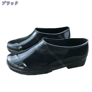 760~OFFN[| ~J CV[Y Cu[c fB[X V[g jp ₷ Sh Y V[gu[c y J  C ɂ CV[gu[c Jp C 
