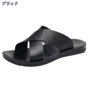 500~OFFN[| r[`T_ Y ~ x_ _炩 r[T ɂȂ  AEghA  E Ȃ ₷ ~ [V[Y  s O 傫