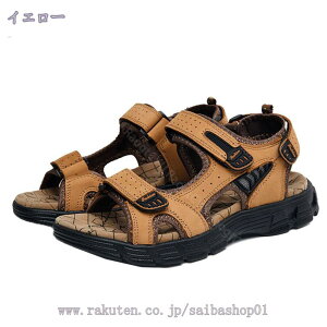 500~OFFN[| X|[cT_ Y ėp ʋC r[`T_ O JWA  RtH[g I XyV o  jp EH[LO 傫TCY y }W