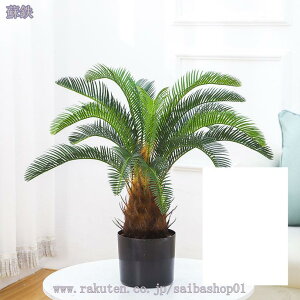 1000~OFFN[| tFCNO[ lHϗtA ^ϗt CeA ƒ 悯oRj[ rO   Iȑ tFCNϗtA ͂Ȃ ȒP A ~͐A z