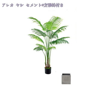 3500~OFFN[| lHϗtA ^ϗt CeA ItBX z[  ƒp 悯oRj[  _ zMtgɍœK fR[V fBtFpLA ACr[ 