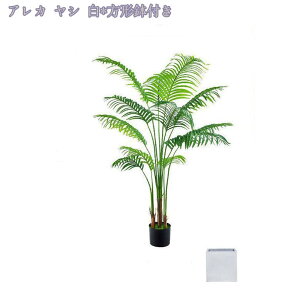 1000~OFFN[| lHϗtA ^ AȎ} Rȗt CeA ItBX z  O tFCNA lHϗtA sv ͂Ȃ ~͐A tFCNA tFCNϗt