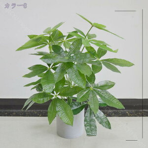 300~OFFN[| lHϗtA ^ϗt CeA ItBX z[  ƒp 悯oRj[  _ zMtgɍœK fR[V fBtFpLA ACr[ 