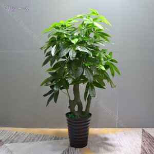 2000~OFFN[| lHϗtA AȎ}Ɨt ^tFCNA tFCNO[ Ȓ  A SzȂ ItBX  c X gsJA ͂Ȃ ~