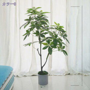 2000~OFFN[| lHϗtA AȎ}Ɨt ^tFCNA tFCNO[ Ȓ  A SzȂ ItBX  c X gsJA ͂Ȃ ~