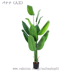 2000~OFFN[| lHϗtA AȎ}Ɨt ^tFCNA tFCNO[ Ȓ  A SzȂ ItBX  c X gsJA ͂Ȃ ~