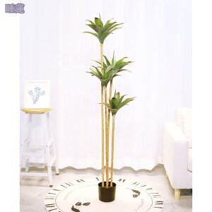 lHϗtA ^  tFCNO[ Vv ItBX  CeA ^ Mт̖  A tFCNO[ lHϗtA ϗtA  Rȕ͋C sv t