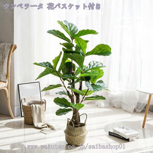 人工観葉植物 フェイクグリーン 人工グリーン 人工植物 人工観葉植物 簡単世話いらず 水やり不要 フェイクグリーン 幸運の木 室内装飾 玄関 リビング オフィス 爽やか シンプル かわいい 人