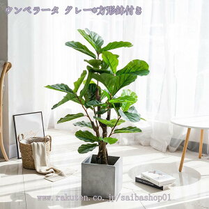 lHϗtA CeA gsJA X^CbV A ͂Ȃ lHϗt |  Rȕ͋C sv A Mtg v[g lHϗtA ȒPb