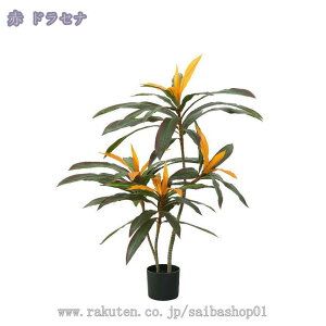 1000~OFFN[| tFCNO[ ^ ϗtA tFCN A  lH i` A lHϗtA ȒP sv QSzȂ Vv  CeA 