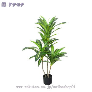 2000~OFFN[| tFCNO[ ^ AȎ}Ɨt Ȓ ItBX   rO ItBX ɒuA CeA p lHA ȑ X܂̑ A