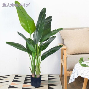 1000~OFFN[| lHA ^ AȎ} Rȗt lHϗtA tFCNO[ ^ A  t v[g CeA lHϗtA p  A @ׂȎ 