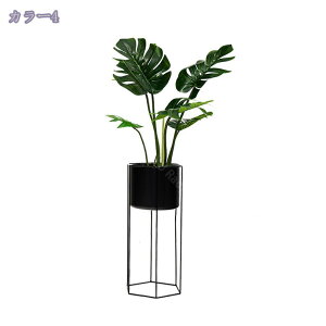 2000~OFFN[| lHϗtA ^ϗt CeA ȒPی ItBX z[  ƒp 悯oRj[  _ zMtgɍœK fR[V fBtFpLA A