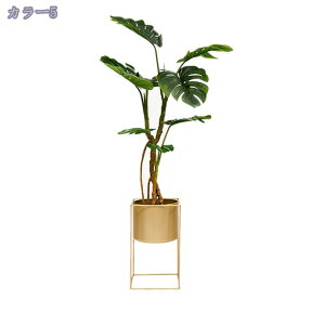 2000~OFFN[| A lHϗtA Xe tFCNϗtA tFCNO[  CeA  O tFCNA lHϗtA ͂Ȃ ~͐A @ׂȎ Rȕ