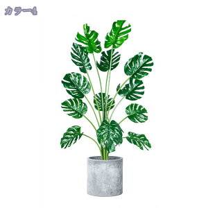 2000~OFFN[| tFCNO[ lHϗtA lHϗt CeA rO  JX Vz z gsJA lHϗtA tFCNO[ tFCNϗtA  