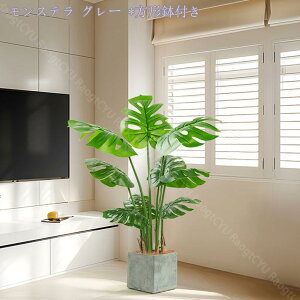 2000~OFFN[| lHϗtA ^ { A @ׂȎ i` CeA ItBX z[  ƒp 悯oRj[ Ȓ  A Ύ tF