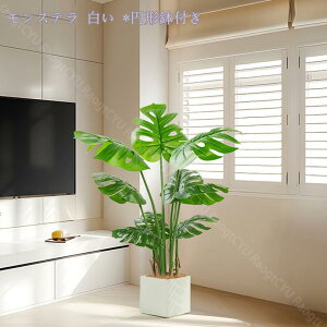 1000~OFFN[| lHϗtA ^ { A @ׂȎ i` CeA ItBX z[  ƒp 悯oRj[ Ȓ  A Ύ tF