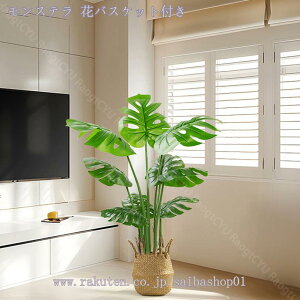 1000~OFFN[| lHϗtA ډB { A @ׂȎ CeA i` lH ͂Ȃ sv ԉ Rȕ͋C lH A ̋V lHA